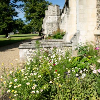 A sunny border outside the Chapel