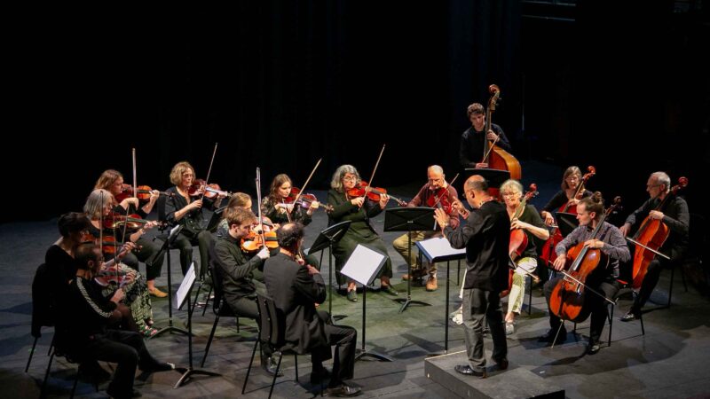 String Ensemble, Leon Bosch