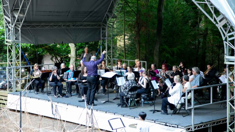 Windband Steve Dummer