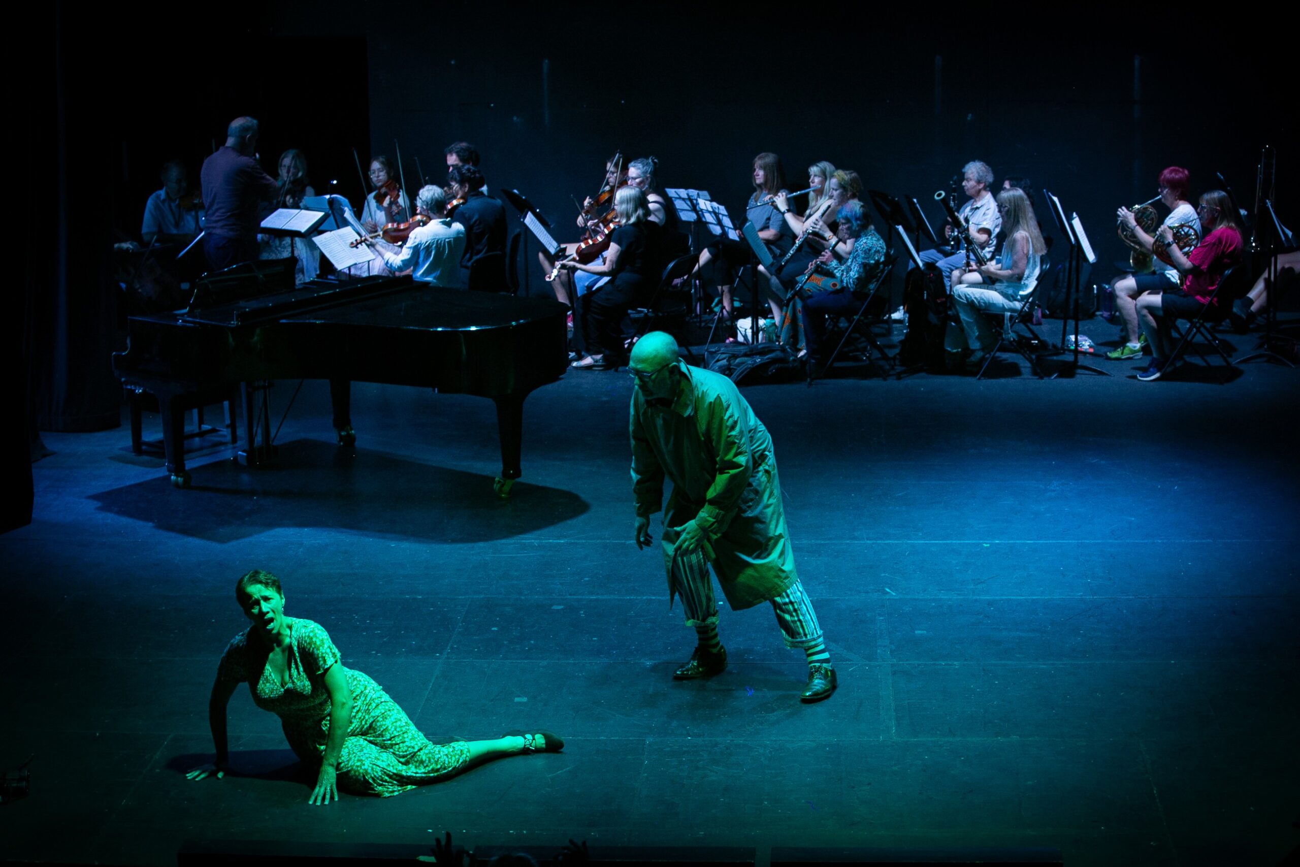 Opera Ensemble Orchestra - The Music Summer School and Festival