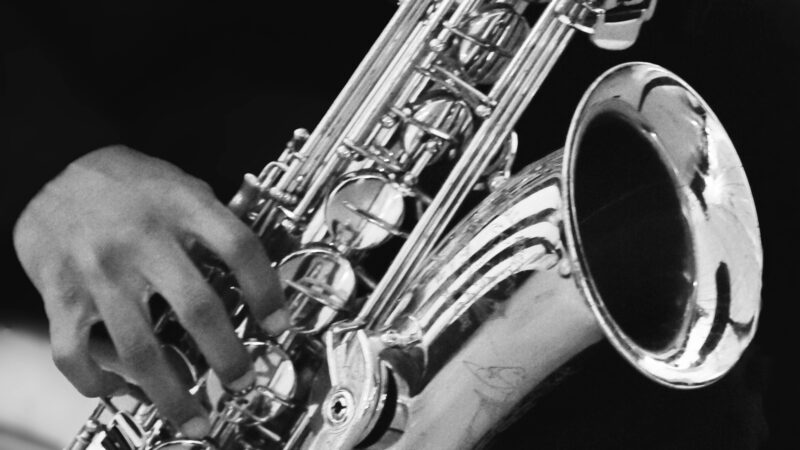 Laura Rivera Kwie0mprxkk Unsplash